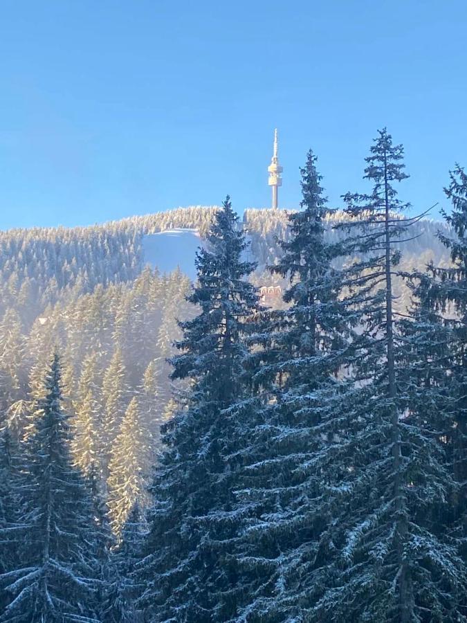 Nevada Aparthotel Pamporowo Zewnętrze zdjęcie